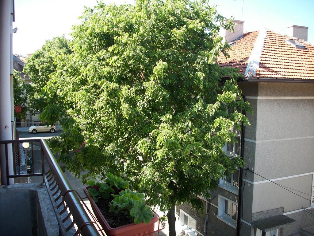 Georgievi Guest House Pomorie Buitenkant foto
